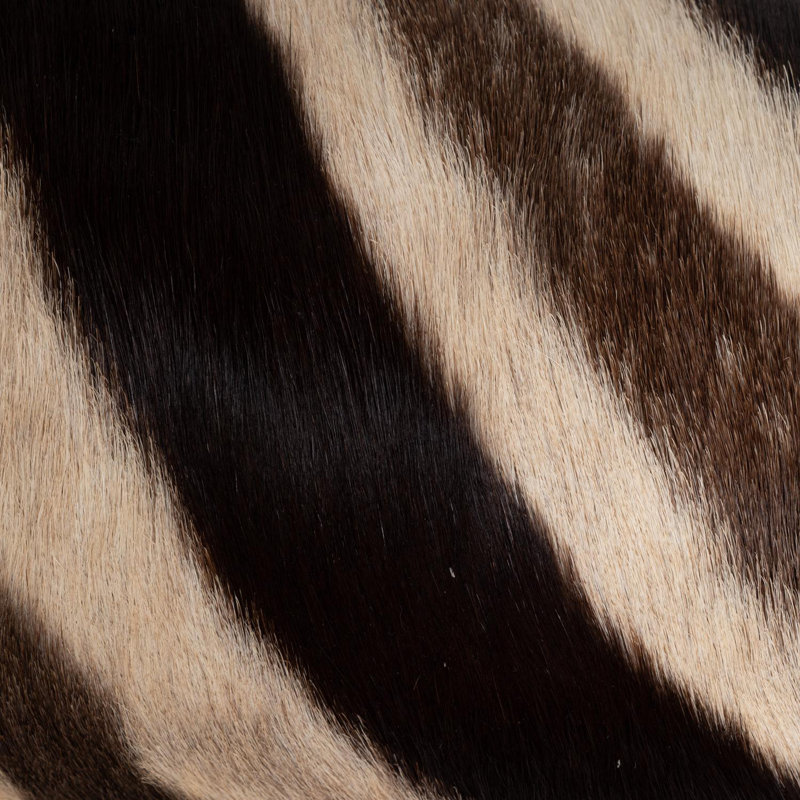 Hide Bolster Pillow w/ Leather Trim