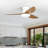 Karlena Ceiling Fan with LED Lights and Remote Control-1558591412-1555790861