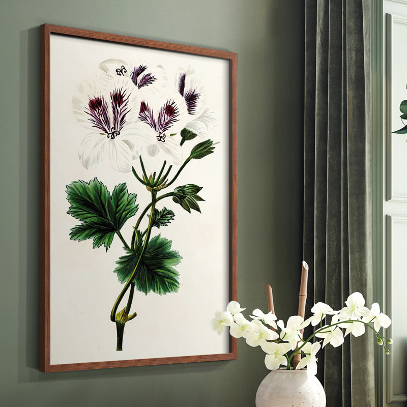Reproduction encadrée Antique Floral Fangle IX - bois massif, Brun, H 14 po x l 11 po