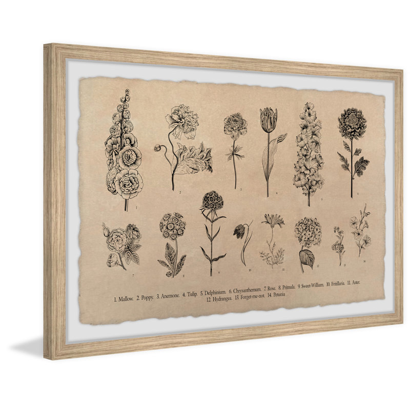 «Timeless Flowers», reproduction encadrée, H 20 po x l 30 po