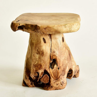 14" Tall Multi-functional Tree Stump Stool, Live Edge Side Table, Plant Stand & Nightstand