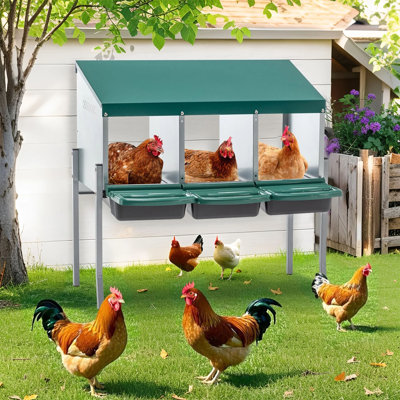 3-Hole Chicken Nesting Box With Legs, Roll-Out Tray, Wall-Mountable Design