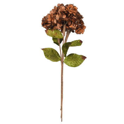 Tige d'hortensia Vickerman