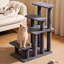 Scratching Post