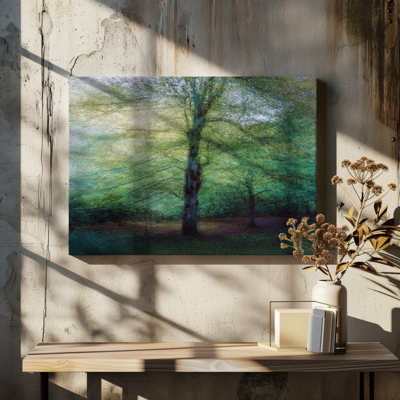 Wrapped Canvas Print, 50.8cm H x 76.2cm W