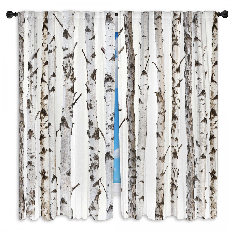 Paire de rideaux obscurcissant en polyester Reasilvia, L 40 po x L 61 po