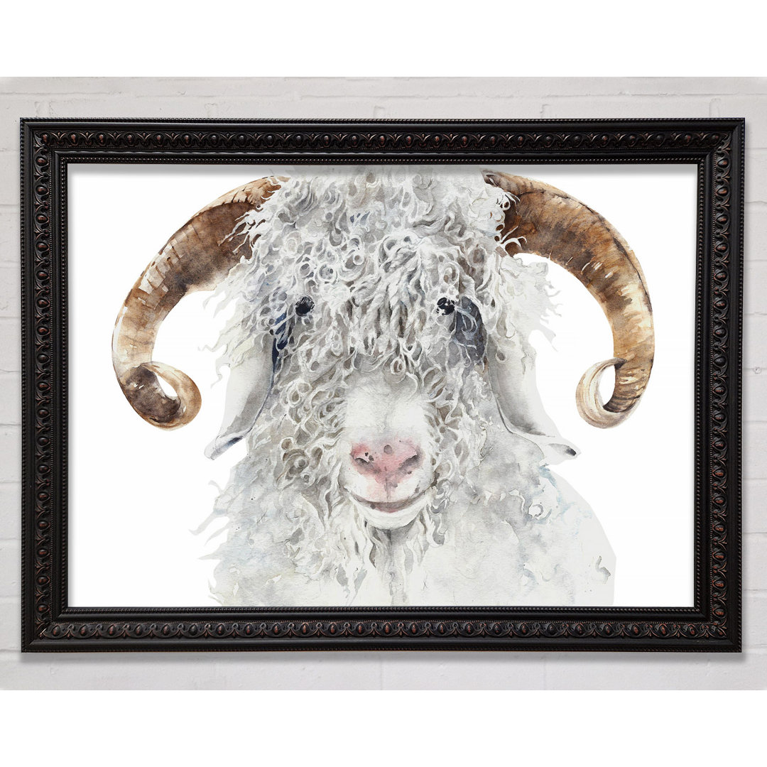 Sheep Beauty - Einzelner Bilderrahmen Kunstdrucke