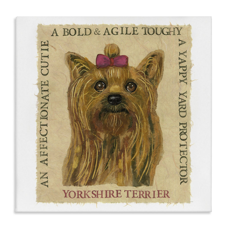 "Fun Yorkshire Terrier", art mural sur toile par Nancy Overton, H 24 po x l 24 po