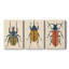 Beetle Bug I - Toile tendue avec châssis sur mesure - 3 pièces-464990083