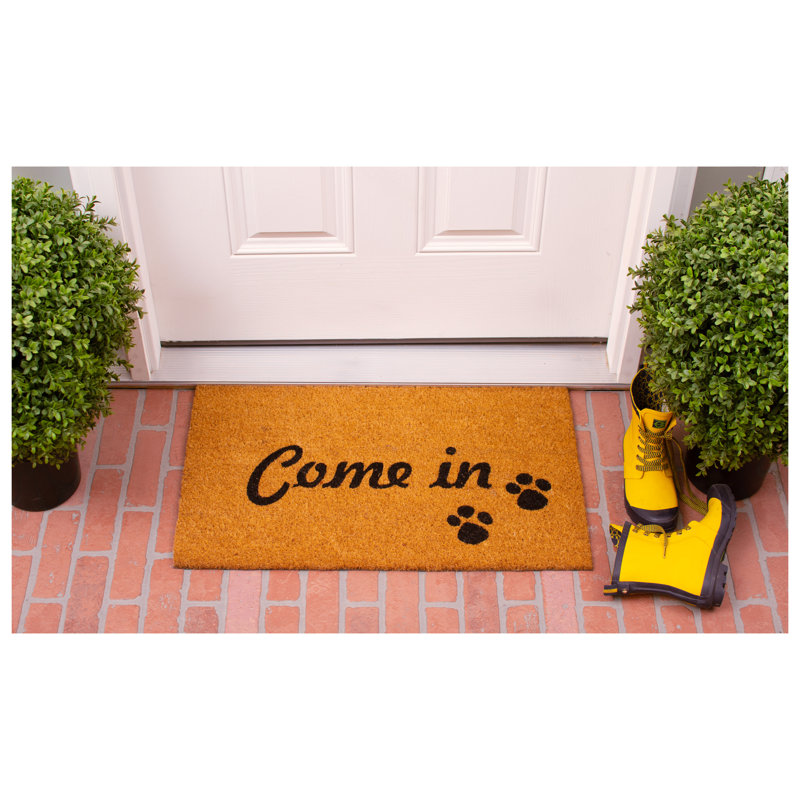 Tapis d'entrée antidérapant Antuane