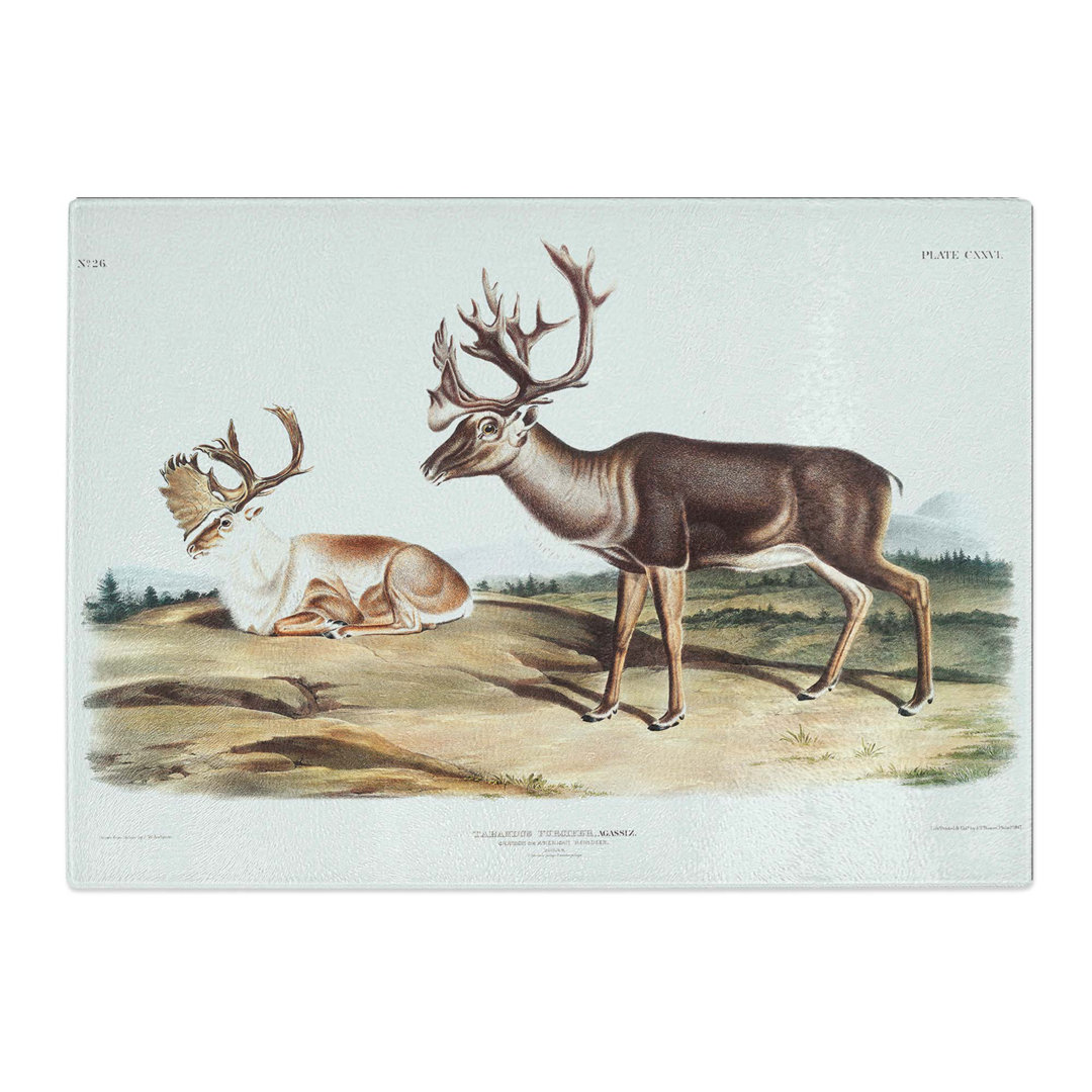 Tempered Glass Caribou by J.W. Audubon Chopping Board