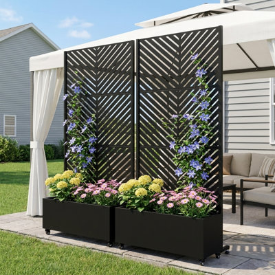 185 H x 240 W