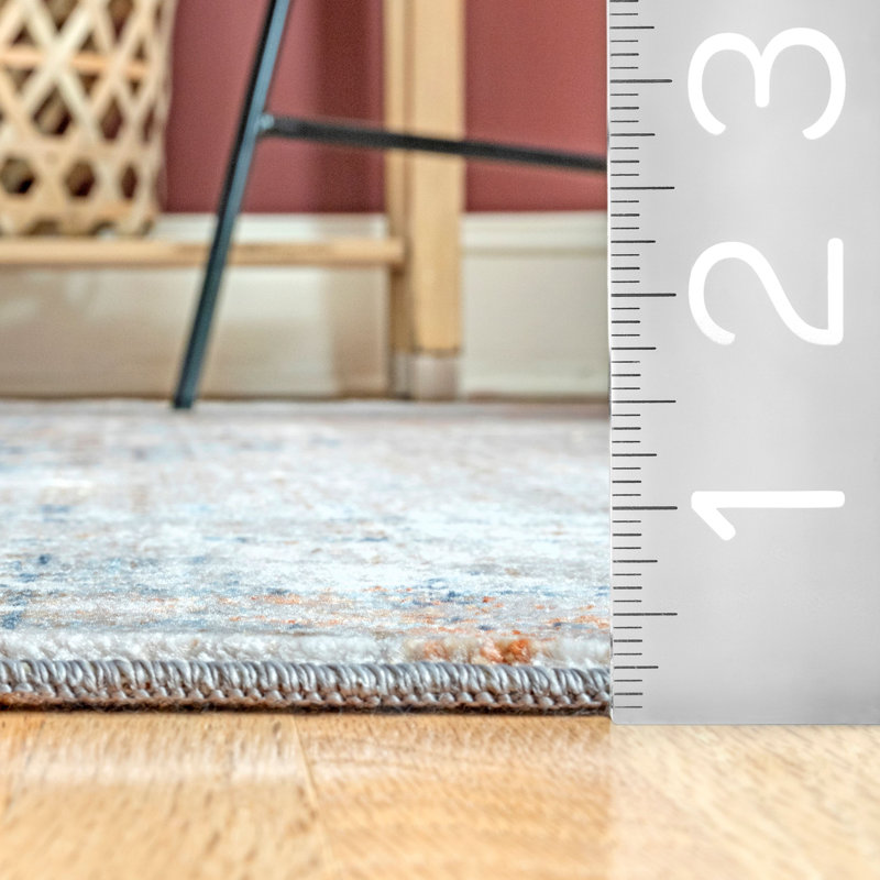 Ronaldo Oriental Indoor Rug, Rectangle 4' x 6'