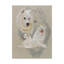 Adelphi «Samoyed», reproduction de peinture à l'huile sur toile tendue-26106957