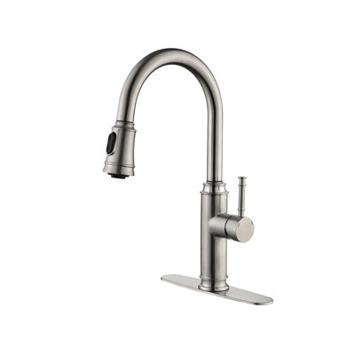 Robinet de cuisine à poignée simple Topcraft