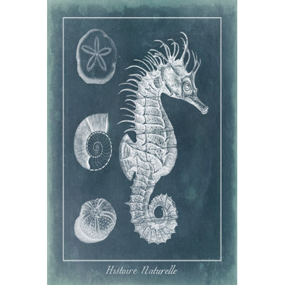 Azure Seahorse Study I by Vision Studio - Wrapped Canvas Print