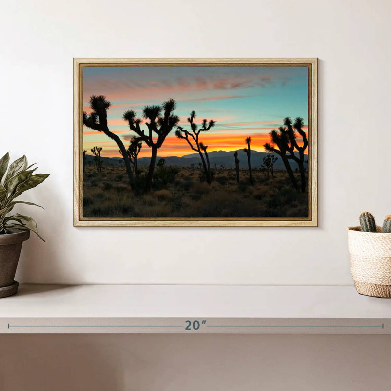 Coucher de soleil sur le parc national de Joshua Tree, Cadre flottant en bois naturel, 13 po x 9 po