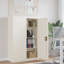 Marielos 2 -Door Storage Cabinet-1942790189