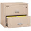Fireproof 2 - Drawer File Cabinet-331546-217201