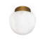 Parker 1 - Light Flush Mount-79008911