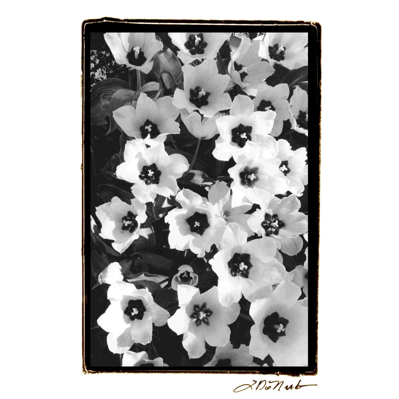 Jardin printanier II, H 18 po x l 12 po
