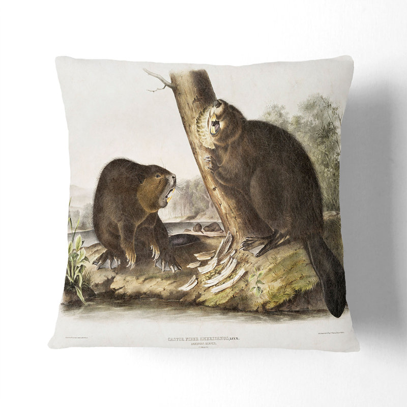 Square Cushion, 55cm H x 55cm W x 20cm D