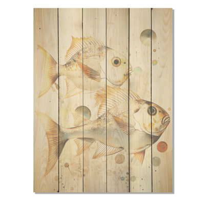 Fish Harmony - Fish Wood Wall Art On Natural Pine Wood