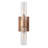 2-Lamp Gold Glass Iron Dimmable Wall light
