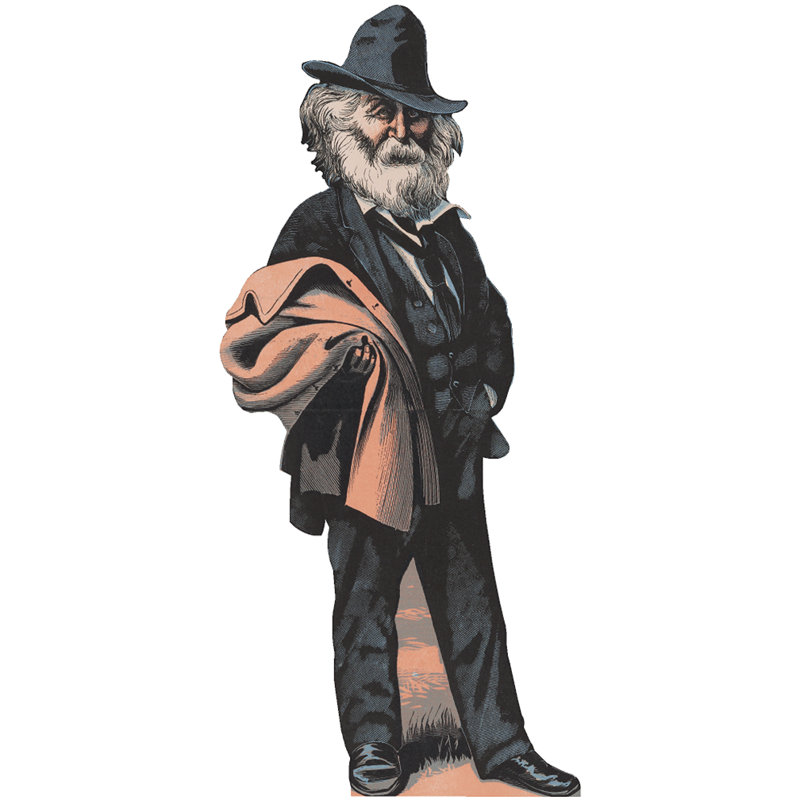 Caricature Walt Whitman