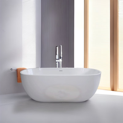 65'' x 29.5'' Freestanding Acrylic Bathtub