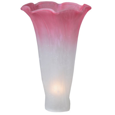 Novelty Lamp Shade