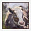Moo Moo III - Reproduction d'artiste sur toile-1910771191