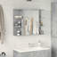Bathroom Cabinet
