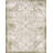 Outdoor Chand Area Rug Ivory-Green Color-1723707292