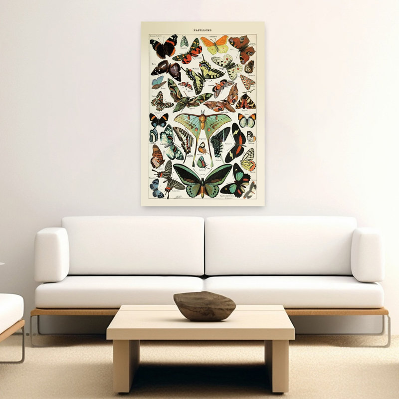 Papillons 1 papillon, art de la nature, H 60 po x l 40 po