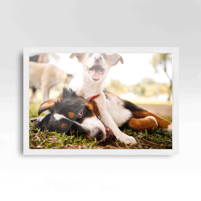 Cadre pour photo simple en bois mat, Blanc, 30 po x 36 po