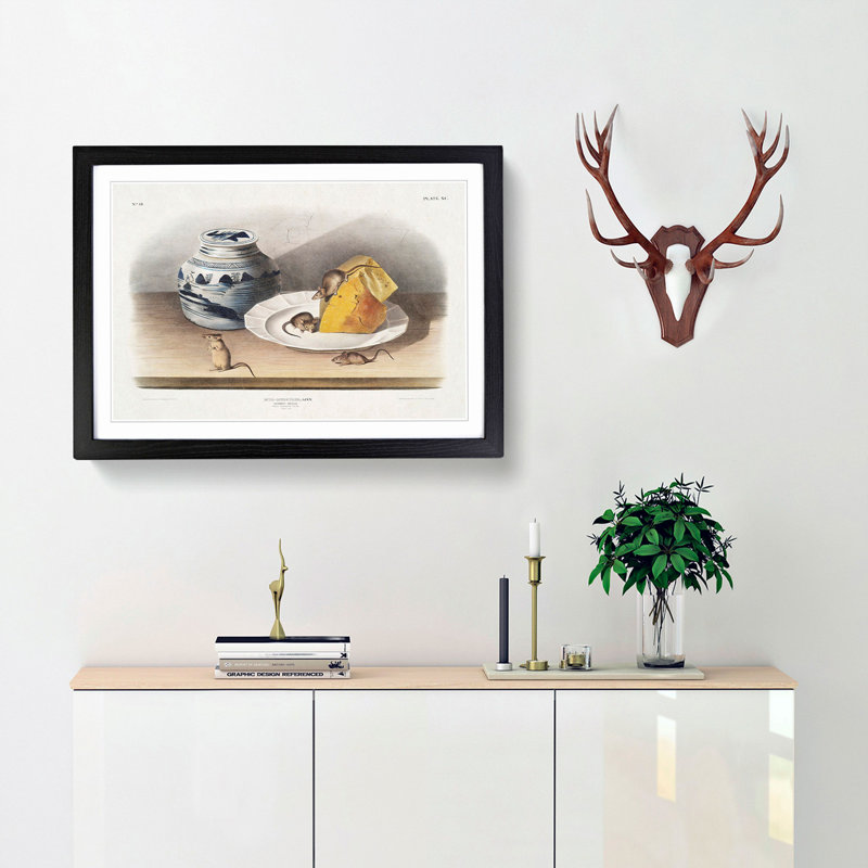 Mice by J.W. Audubon - Framed Print, 36cm H x 48cm W x 2cm D, Black Framed