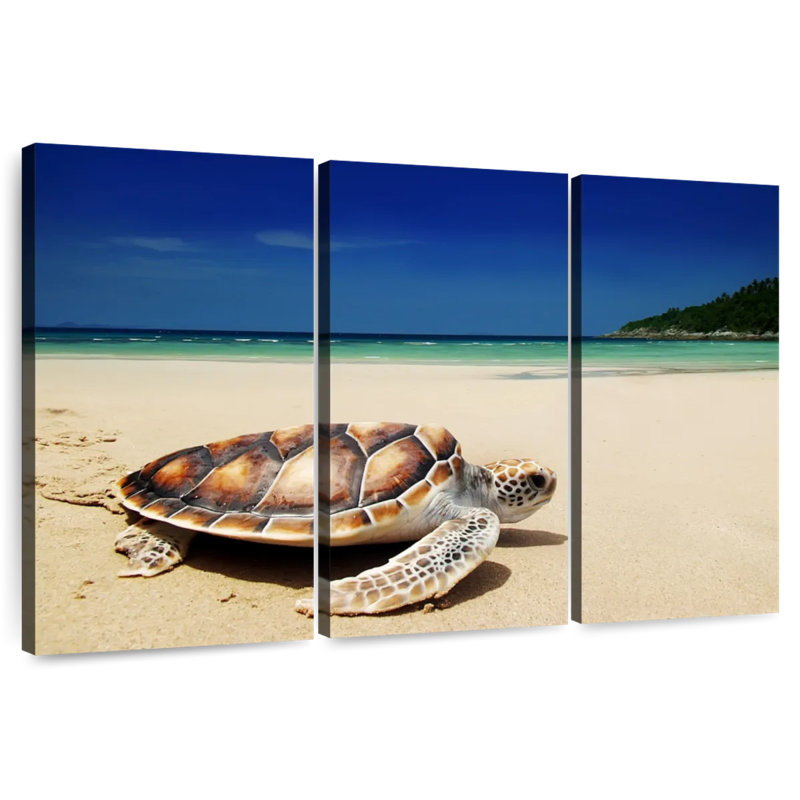 Turtle On Beach, 36" H x 57" W
