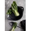 Cotton No Pattern Rectangle Placemat-59087870