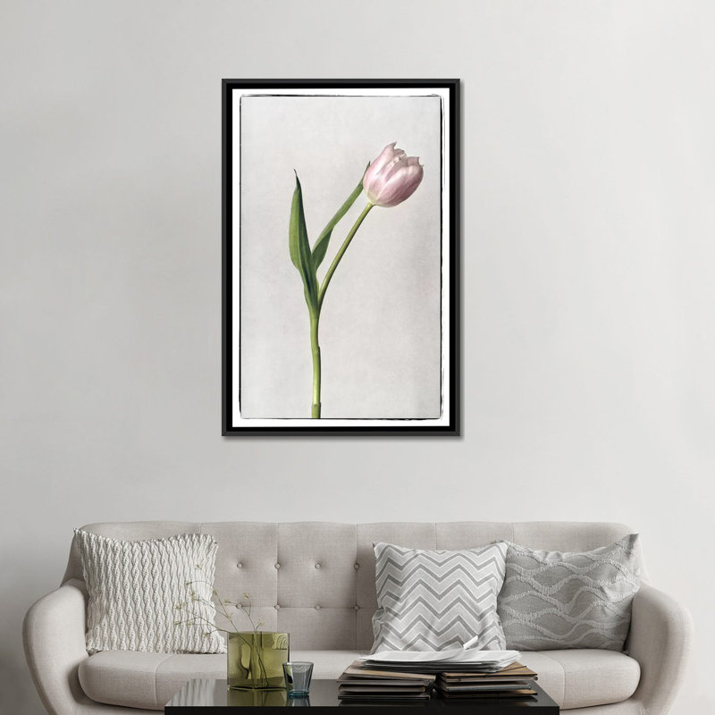 «Light Tulips II» par Debra Van Swearingen, reproduction sur toile, Toile avec cadre noir, Pas de tapis