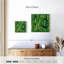 Motif de cactus vert Harnek-109358682