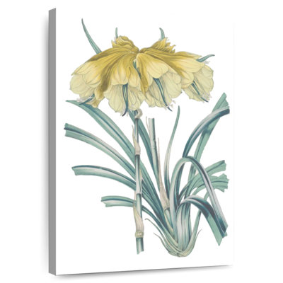Harnek Antique Botanical III Cool