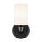 9.5" 1-Light Wall Sconce with Glass-108202150-108202153