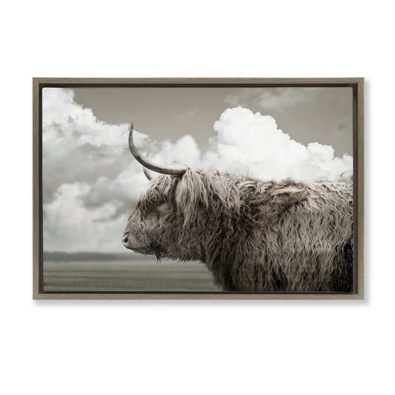 Longhorn vue de bovins et de nuages, H 17 po x l 25 po, Cadre flottant orme Montalcino