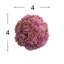 Decorative Sedum Balls (Set of 3)-662009772