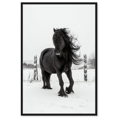 Black Stallion II Framed Canvas Print Western Photography by Art Remedy, Black Frame, 16 x 24