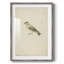 «Vintage Animal Print», impression encadrée-100453082