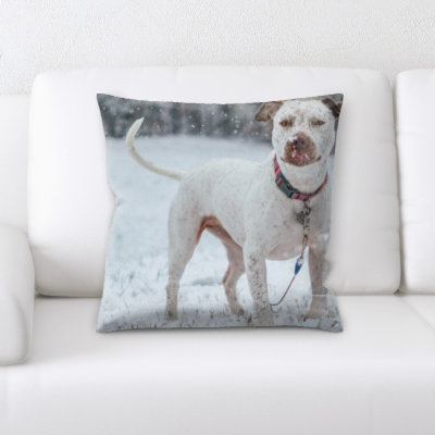 Coussin décoratif animal Kacey