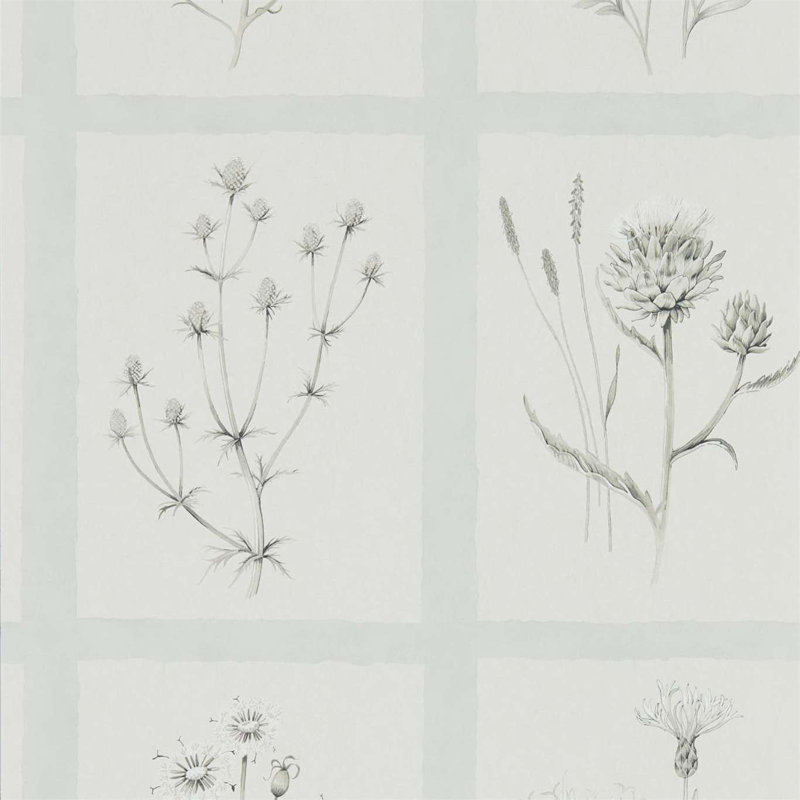 Little Thistles Wallpaper, Gray Blue