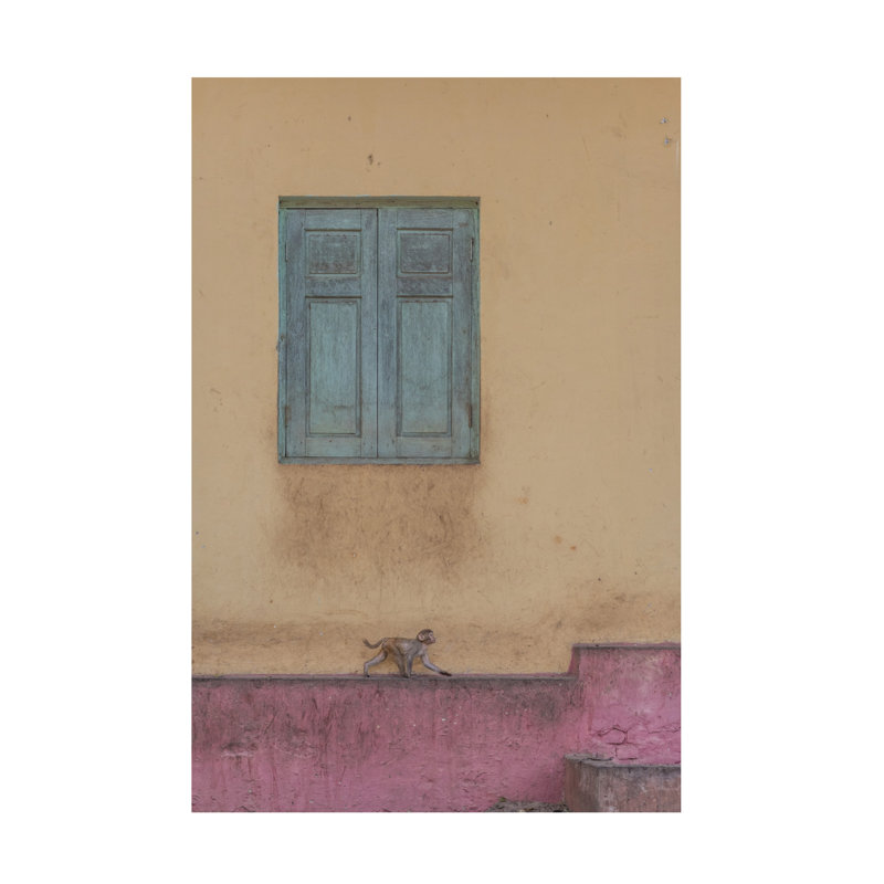 Art sur toile, Patrick Dessureau, H 16 po x l 24 po